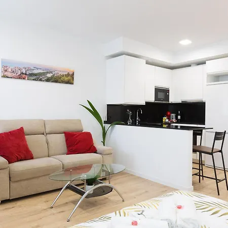 Cosmopolitan Loft Lejlighed *