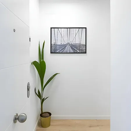 Cosmopolitan Loft Málaga