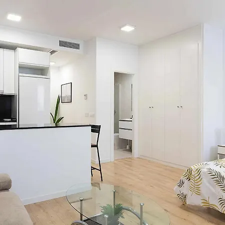 Cosmopolitan Loft Málaga